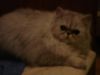 DSC00373.JPG