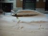 Имя файла=DSC00685.JPG
Размер файла=2509КБ
Размеры=3264x2448
Дата=Март 12, 2008 DSC00685.JPG