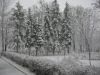 Имя файла=DSC01038.JPG
Размер файла=1256КБ
Размеры=2048x1536
Дата=Март 26, 2008 DSC01038.JPG