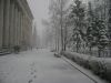 Имя файла=DSC01039.JPG
Размер файла=1247КБ
Размеры=2048x1536
Дата=Март 26, 2008 DSC01039.JPG