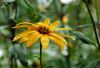 DSC01116.jpg
