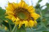 DSC01260.JPG