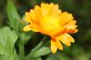 DSC01369.JPG
