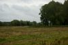 DSC01428.jpg
