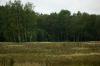 DSC01478.jpg