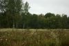 DSC01489.jpg