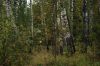 DSC01498.jpg