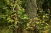 DSC01527.jpg