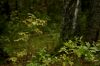 DSC01529.jpg