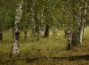 DSC01540.jpg