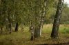 DSC01542.jpg