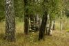 DSC01551.jpg