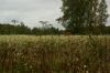 DSC01601.jpg