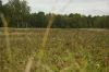 DSC01611.jpg