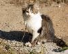 DSC01675.JPG