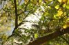 DSC01716.JPG