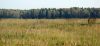 DSC01915.jpg