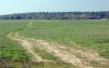 DSC01970.JPG