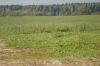 DSC01978.JPG