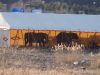 Имя файла=DSC02140~0.JPG
Размер файла=3305КБ
Размеры=3648x2736
Дата=Апр 19, 2010 DSC02140~0.JPG