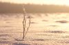 DSC02720.JPG