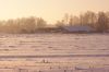 DSC02737.JPG