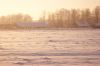 DSC02741.JPG