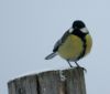 DSC02802.JPG