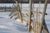 DSC03164.JPG