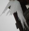 Имя файла=DSC03548.JPG
Размер файла=152КБ
Размеры=1088x1168
Дата=Сент 12, 2008 DSC03548.JPG