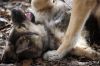 DSC03555.JPG