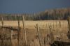DSC03805.JPG