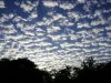 DSC04179.jpg