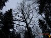 DSCN0280_копия~0.jpg