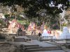 IMG_1763.jpg