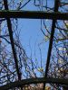 IMG_6890.jpg